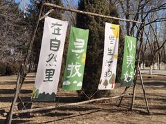 -乌素图国家森林公园