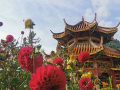 -硗碛藏寨·神木垒景区