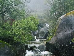 -大围山国家森林公园