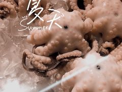 白灼章鱼-铭聚章鱼土笋冻(松柏店)