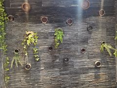 -一只烧鸡公(解放碑店)