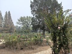 -国家植物园南园