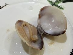 卜卜花甲白贝-丰尔粥食·粥底火锅·桑拿鸡(大良总店)
