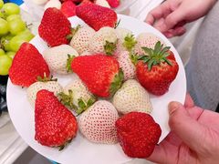 -京彩臻品火锅