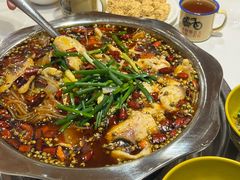 -乡土特色.冷锅鱼.牦牛肉汤锅