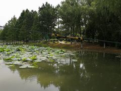 -白塘生态植物园