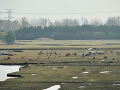 -溱湖国家湿地公园