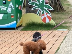 -太兴餐厅(小径湾店)