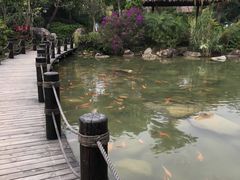 -水底山庄园温泉