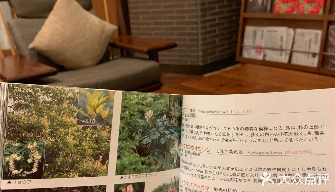 因为周围真没吃饭的地方