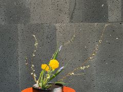 -帝京日语(春熙路旗舰校区)