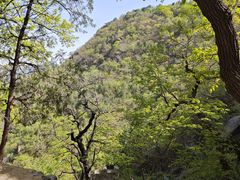 -北京鹫峰国家森林公园