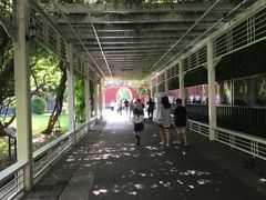 -中山公园音乐堂