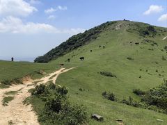 -大姆山草场