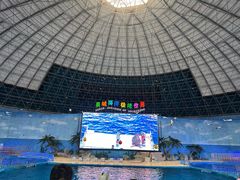 -泉城欧乐堡海洋极地世界