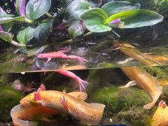 -多彩贵州城极地海洋世界