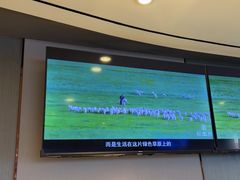 -蝎王府羊蝎子(西直门店)