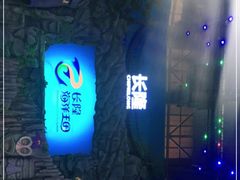 -帝企鹅自助餐厅•儿童岛•真企鹅(长隆企鹅酒店)