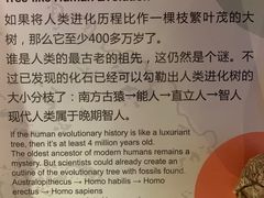 -正佳自然科学博物馆