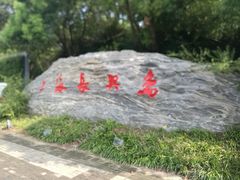 门面-上海长兴岛郊野公园