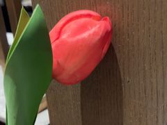 -百富源·海鲜辽菜(和平北大街店)