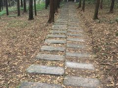 -山王坪喀斯特国家生态公园