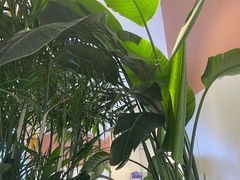 大堂-姐弟俩土豆粉(北京双桥万达店)