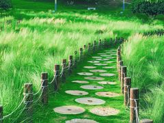-红花山公园