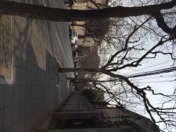 iphone_upload_pic-OOAK设计师品牌概念店(新乐路店)