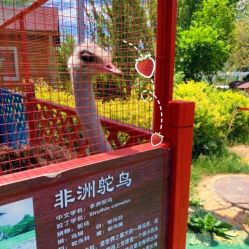 -萌宠亲子动物乐园(槐房万达店)