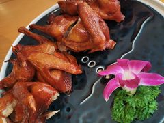 -大鸽饭(马王堆店)