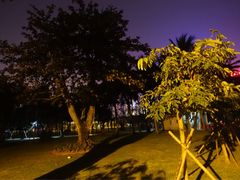 -万绿园