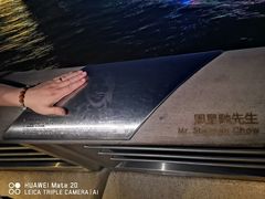-星光大道