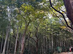 -宝岩生态观光园