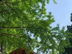 -金堂县云顶石城风景区