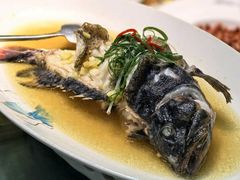广式老虎斑-舟山海鲜·江浙菜(银沙路店)
