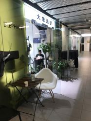 -大象造型