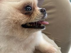 -怪兽屋·羊驼·猫咖·狗咖(俊华广场店)