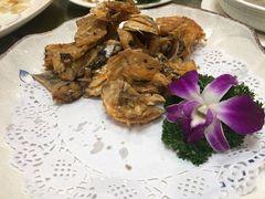 -寻味顺德·南记酒家·传统顺德菜·鱼生(广源路店)
