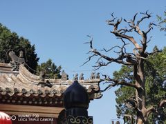 -承恩寺