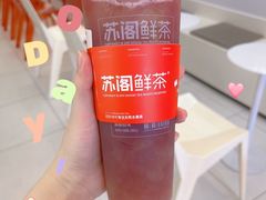 -苏阁鲜果茶(虎门君乐汇店)