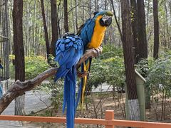 -北京野生动物园