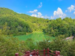 -广州白江湖森林公园