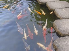 -广州花园酒店荔湾亭·地道点心·粤式饮茶