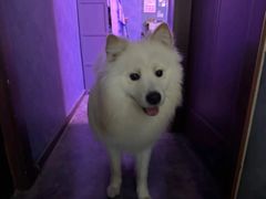 -剧狐剧本杀(徐汇1号店)