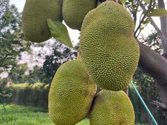 -水濂山森林公园