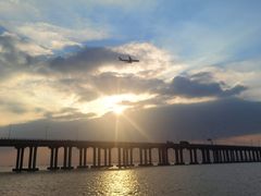 -宝安西湾红树林湿地公园