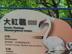 -九龙公园