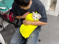 -艾贝尔宠物医院 ·中兽医·宠保定点(北门桥店)