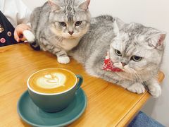 -echoes coffee回响咖啡(红山店)